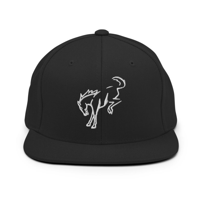 Snapback Hat - Image 11