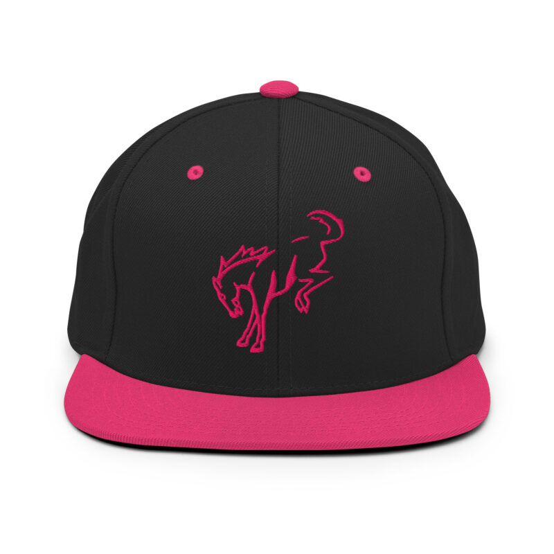 Snapback Hat - Image 19