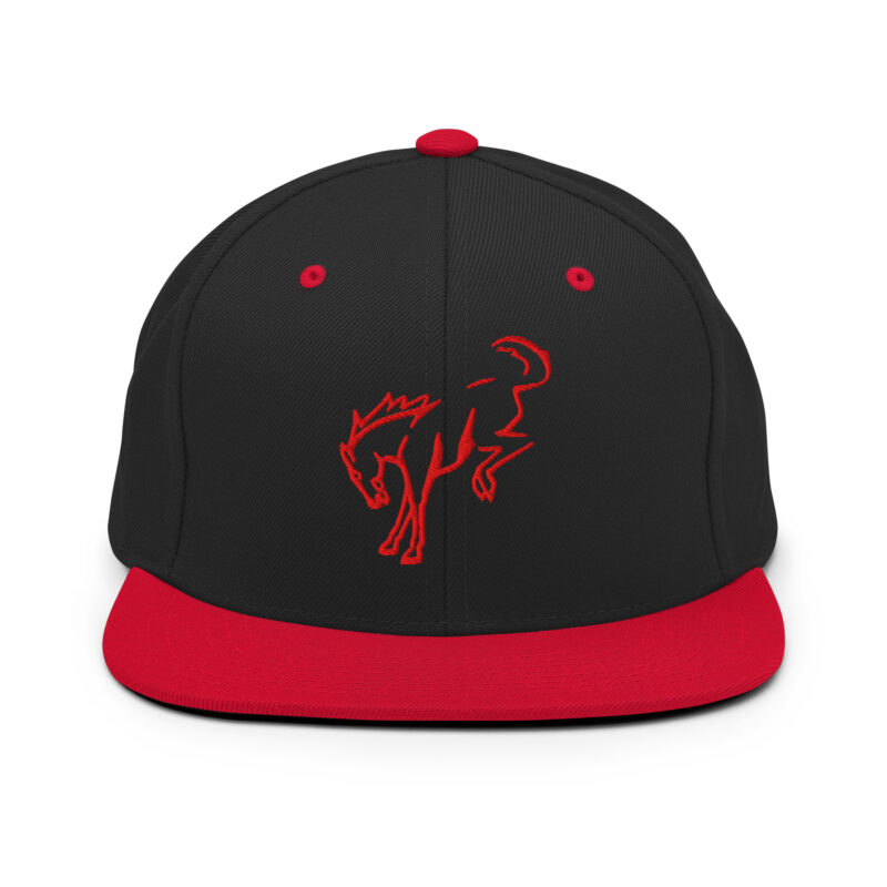 Snapback Hat - Image 20