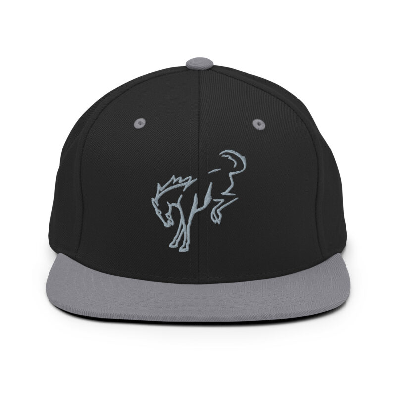 Snapback Hat - Image 21