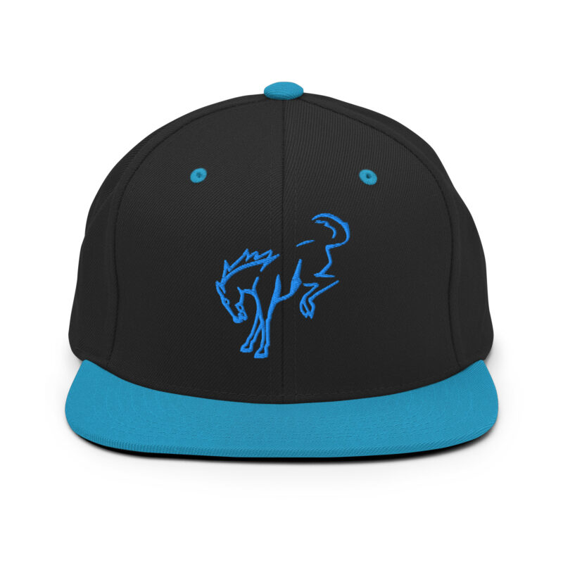 Snapback Hat - Image 22