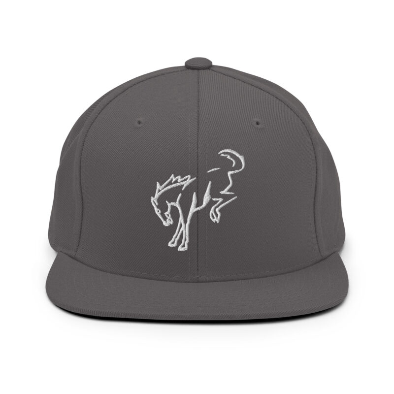Snapback Hat - Image 18