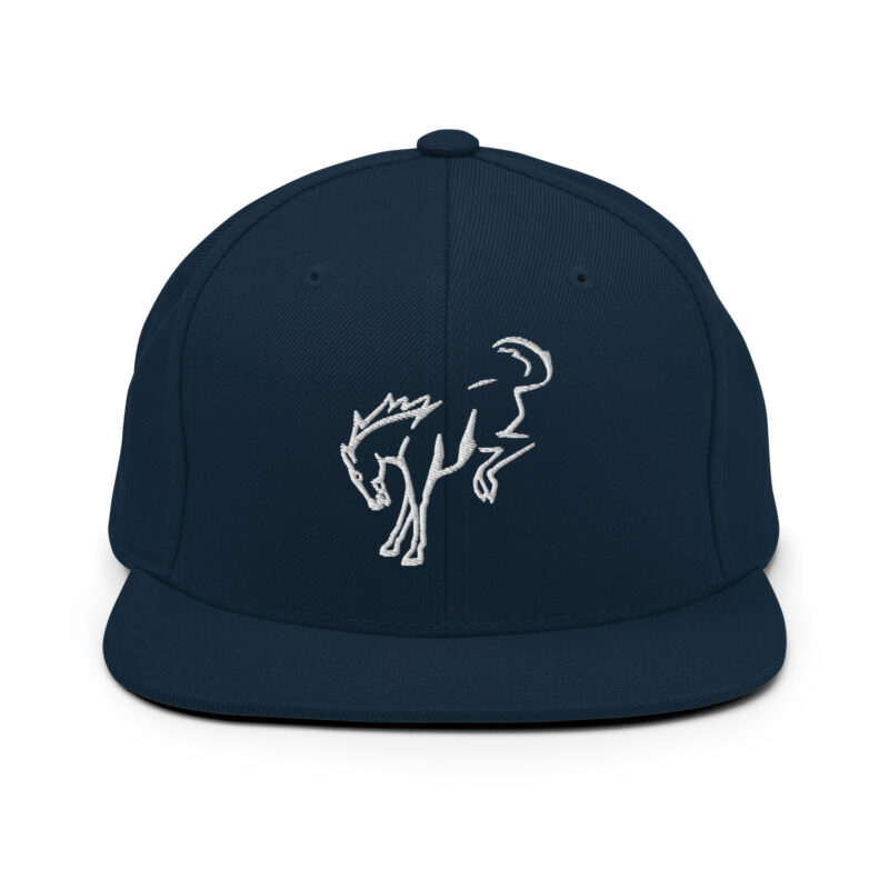 Snapback Hat - Image 12