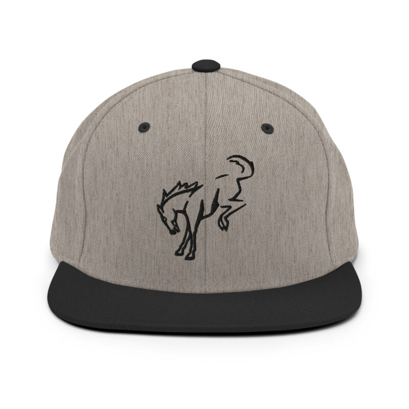 Snapback Hat - Image 6