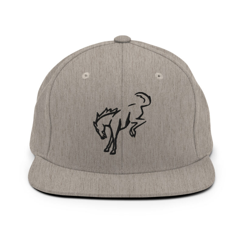 Snapback Hat - Image 9