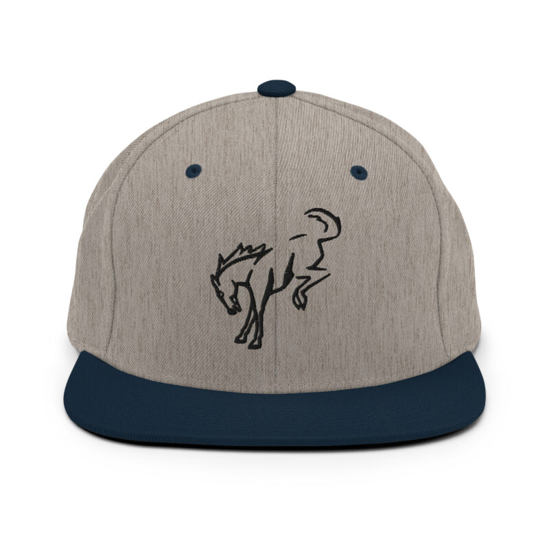 Snapback Hat - Image 7