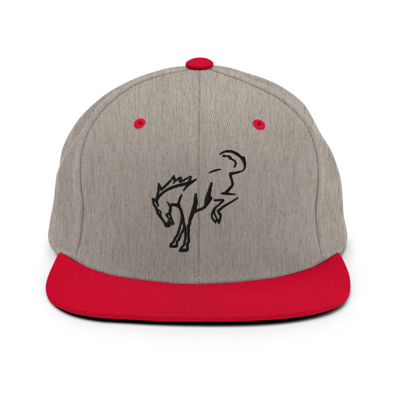 Snapback Hat - Image 8