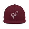 Snapback Hat
