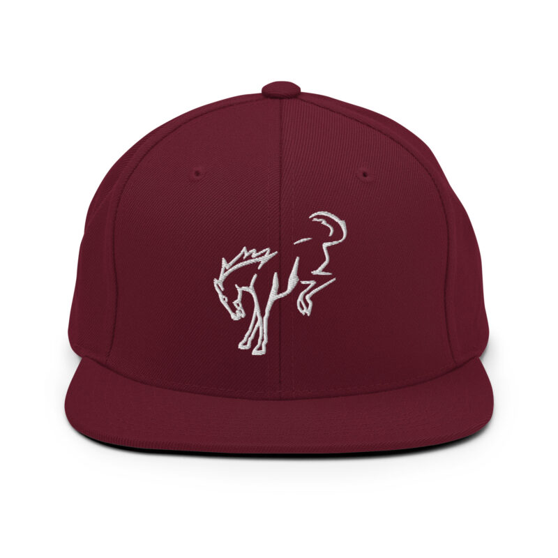 Snapback Hat - Image 13