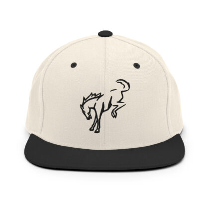 Snapback Hat