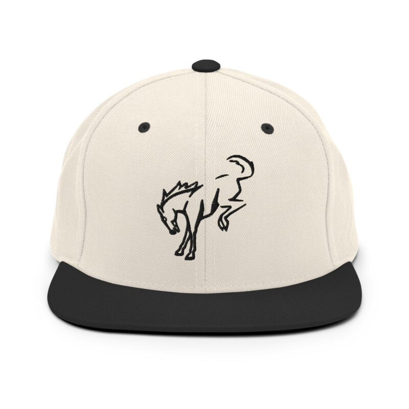Snapback Hat