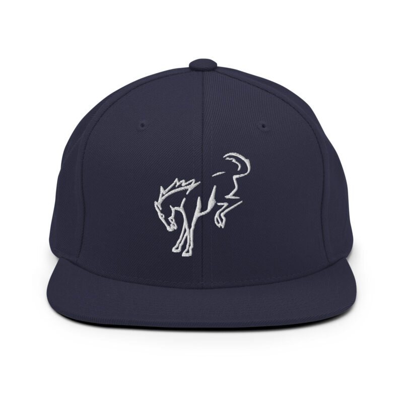 Snapback Hat - Image 15