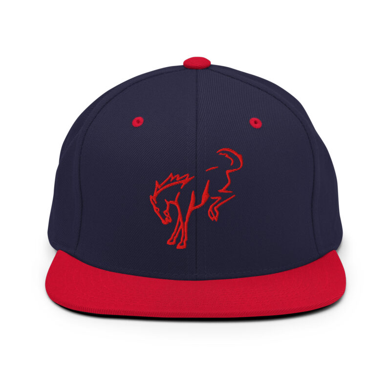 Snapback Hat - Image 23
