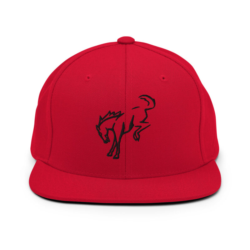 Snapback Hat - Image 4