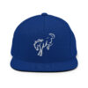 Snapback Hat