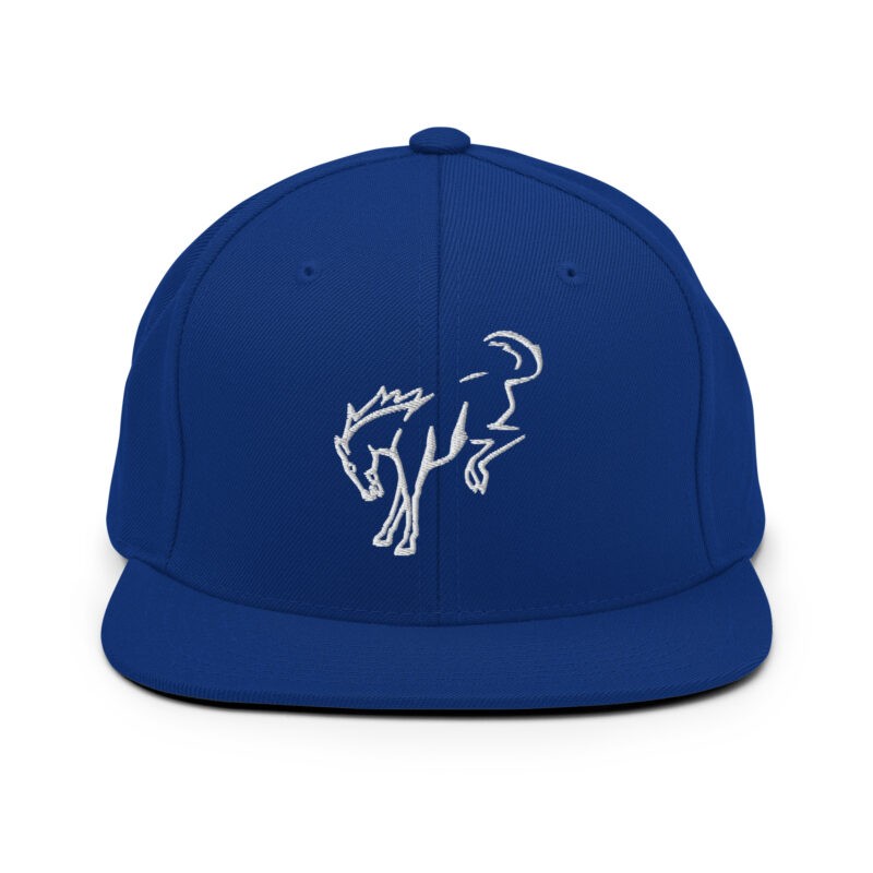 Snapback Hat - Image 14