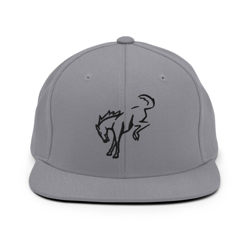 Snapback Hat - Image 5