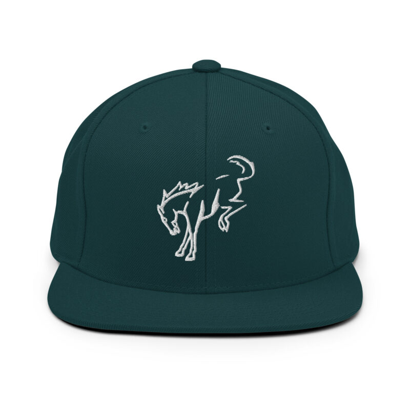 Snapback Hat - Image 16