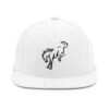 Snapback Hat