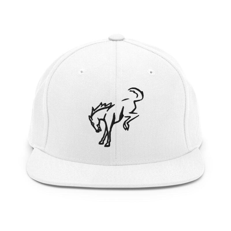 Snapback Hat - Image 10