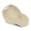 O-Fish-Ally Five 2025 Distressed Dad Hat