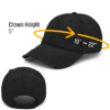Distressed Dad Hat