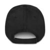 Frontier Distressed Dad Hat