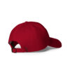 Dad Hat