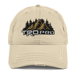 Distressed Dad Hat